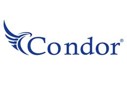 logo30